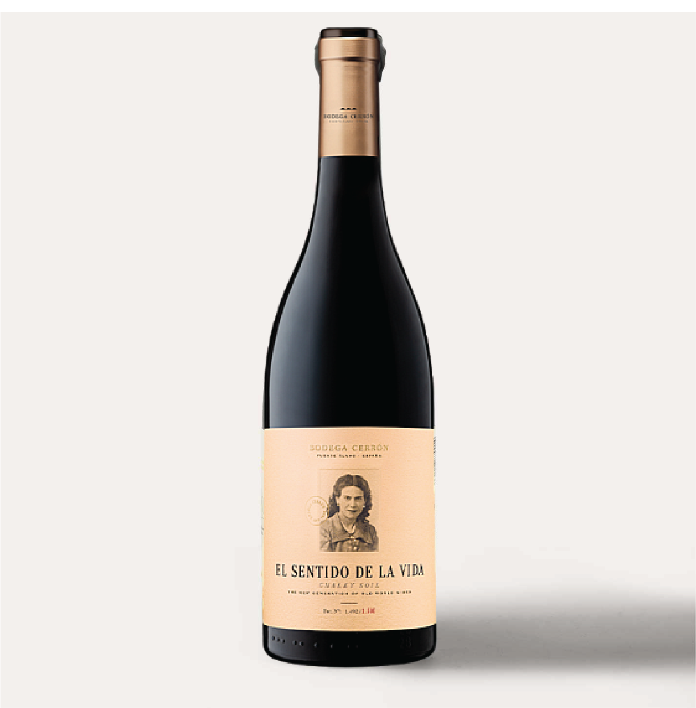 El Sentido de la Vida 2023